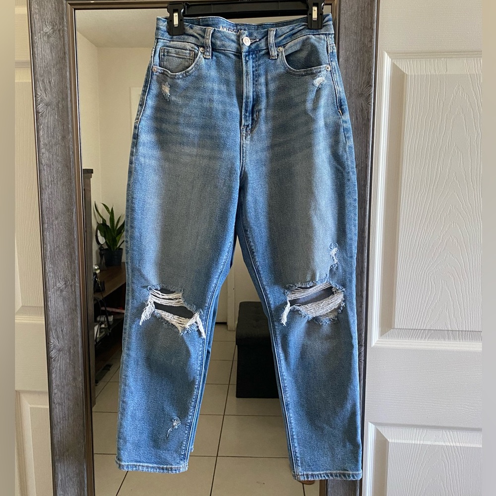American Eagle Curvy Mom Jean